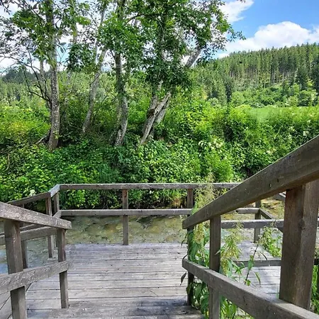 Tischlmuehle App 8 By Alpenidyll Lejlighed